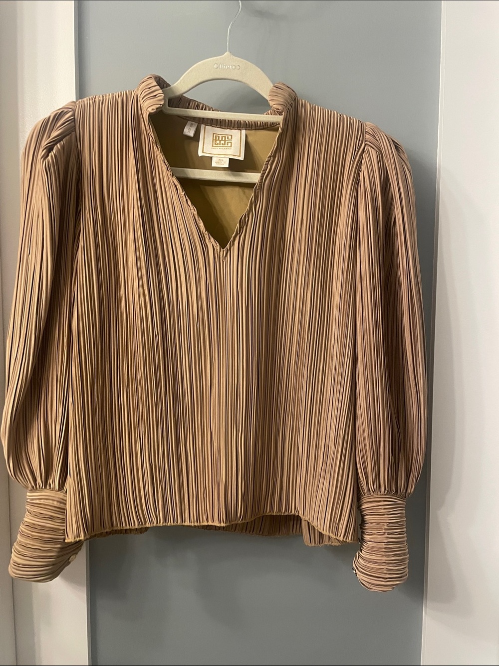Emily McCarthy Pleated V-Neck Long Sleeve Blouse in Taupe